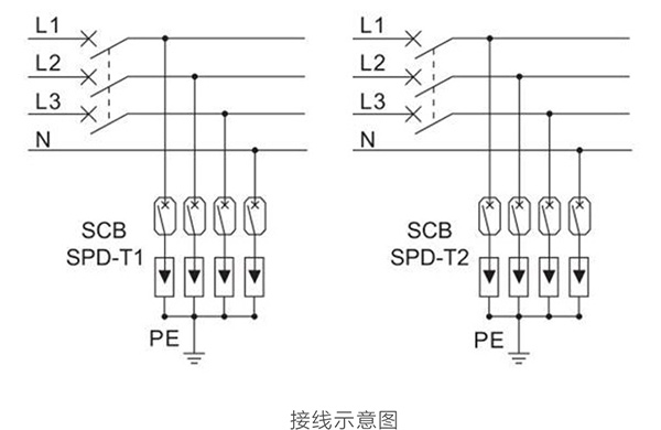 1737014467737670.jpg 4.07.jpg